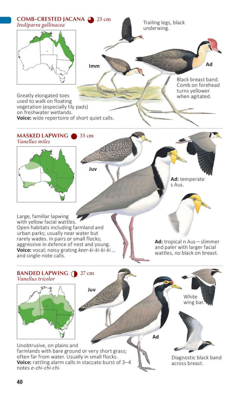 Australian Bird Guide: Concise Edition - Davies 2022